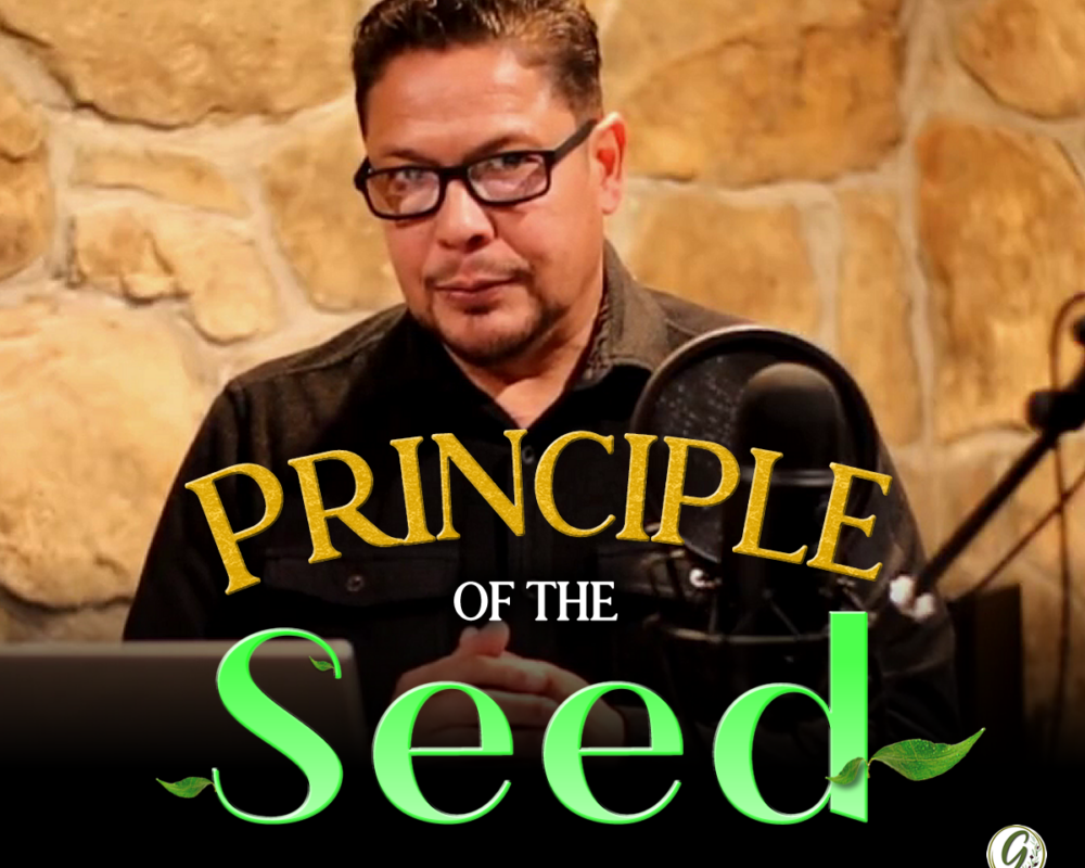 Principle of the Seed